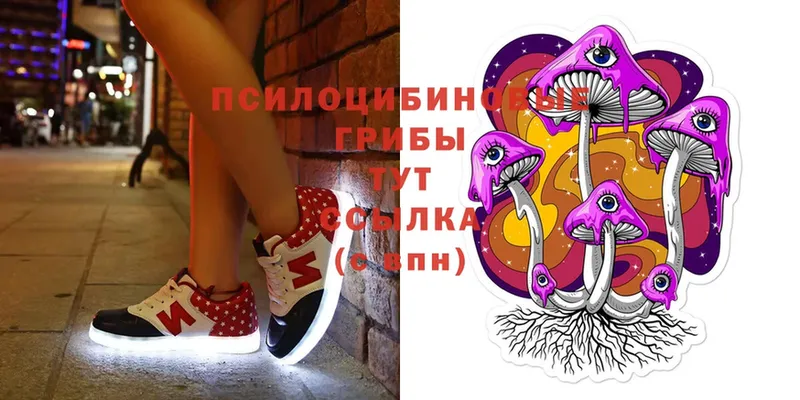 Псилоцибиновые грибы MAGIC MUSHROOMS  Любим 